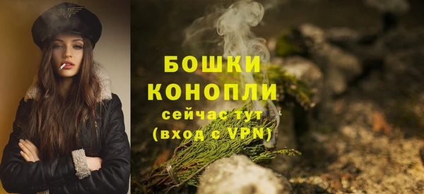 mdpv Бородино