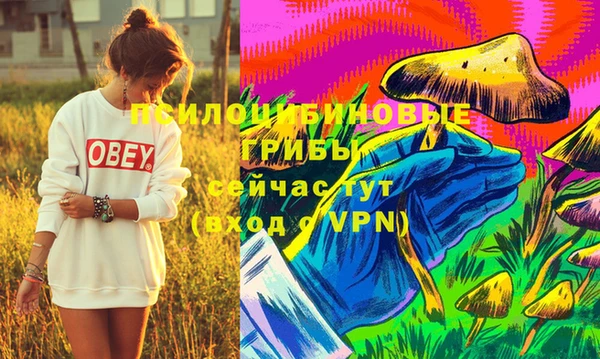 mdpv Бородино