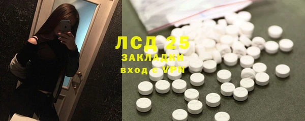 mdpv Бородино