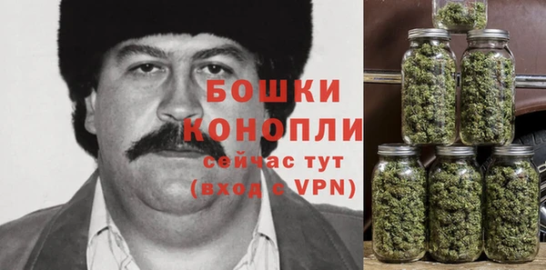 mdpv Бородино