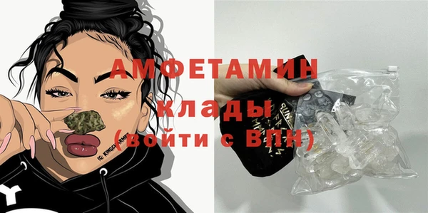 mdpv Бородино