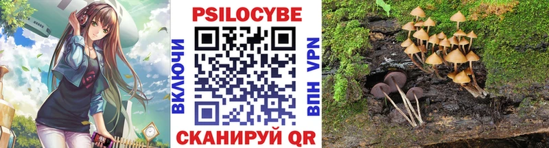 Псилоцибиновые грибы ЛСД  купить наркоту  Гороховец 